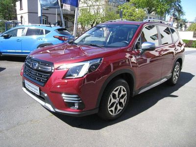 Usata Subaru Forester Comfort 150 CV (110 kW) 2024 Rosso SUV