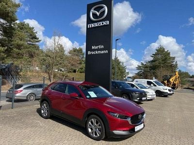 Gebraucht Mazda CX-30 Selection 122 PS (89 kW) 2023 Rot SUV