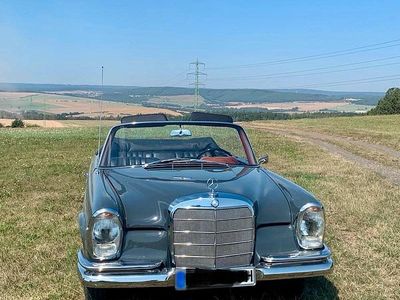 Gebraucht Mercedes 220 120 PS (88 kW) 1963 Grau Cabrio
