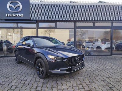 Neu Mazda CX-30 Nagisa 140 PS (102 kW) 2025 SUV
