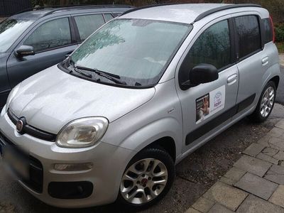 gebraucht Fiat Panda Panda1.2 My