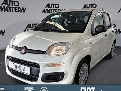Second-hand Fiat Panda Cross Cross 70 CP (51 kW) 2026 Alb Hatchback