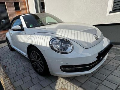 VW Beetle