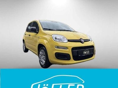 Neu Fiat Panda 69 PS (50 kW) 2025 Gelb Kleinwagen