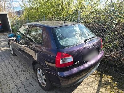 Gebraucht Audi A3 102 PS (75 kW) 2001 Violet Kleinwagen