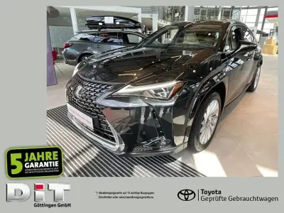 Gebraucht Lexus UX 250h Luxury Line 184 PS (135 kW) 2024 Graphite black SUV