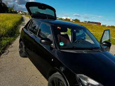 Brugt Skoda Fabia