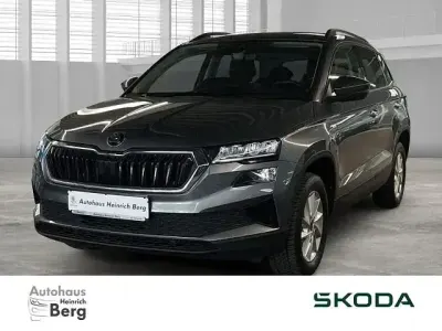 Gebraucht Skoda Karoq Ambition 150 PS (110 kW) 2023 Grau SUV
