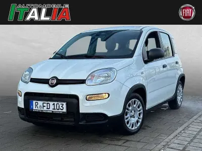 Usata Fiat Panda 70 CV (51 kW) 2024 Bianco Utilitaria
