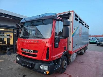Gebraucht Ford Transit Nugget 281 PS (206 kW) 2010 Grau