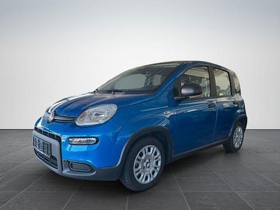 Gebraucht Fiat Panda Cross Cross 69 PS (50 kW) 2025 Italia blau Kleinwagen