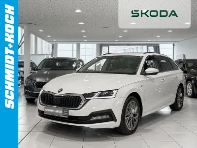 Gebraucht Skoda Octavia Ambition 150 PS (110 kW) 2023 Candyweiß (weiß) Kombi