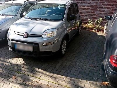 Gebraucht Fiat Panda 69 PS (50 kW) 2023 Grau Kleinwagen