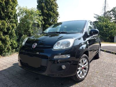 Schwarz Gebraucht 2018 Fiat Panda Lounge Kleinwagen | 9.999 € (Etwas zu teuer)