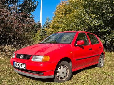 VW Polo