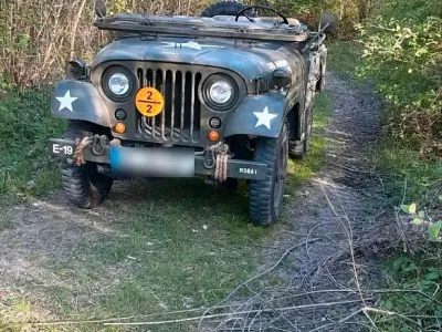 Gebraucht Jeep Willys 1967 Grün SUV