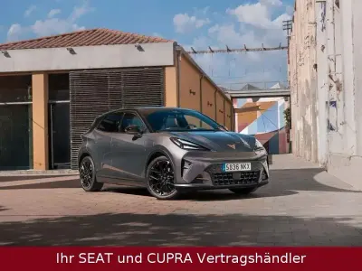 Gebraucht Cupra Raval
