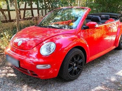 VW Beetle