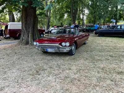 Gebraucht Ford Thunderbird Convertible 300 PS (220 kW) 1964 Rot Cabrio