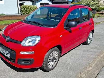 Usata Fiat Panda 69 CV (50 kW) 2013 Grigio Utilitaria