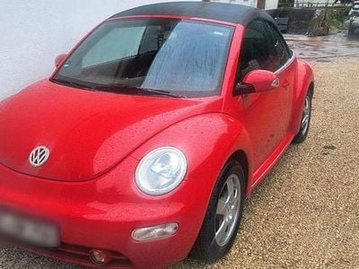 VW Beetle