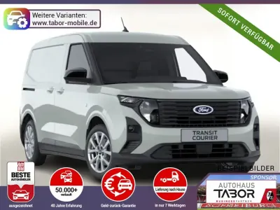 Neu Ford Transit Limited 101 PS (74 kW) 2025 Cactus grey Van / Kleinbus