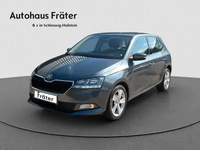 Gebraucht Skoda Fabia 95 PS (69 kW) 2020 Grau Kleinwagen