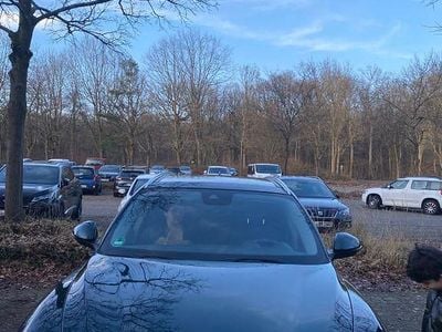 Gebraucht Alfa Romeo Stelvio Lusso 280 PS (205 kW) 2021 Grün SUV