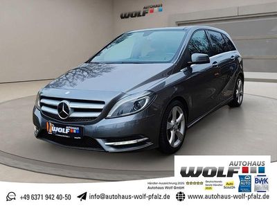 Grau Gebraucht 2014 Mercedes B250 Sport Van / Kleinbus | 16.499 € (Etwas zu teuer)