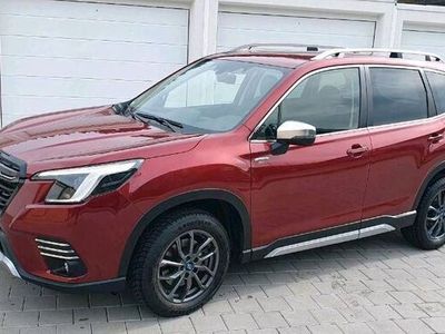 gebraucht Subaru Forester e-Boxer Allead AHK 8-Fach bereift