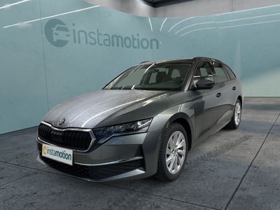 Gebraucht Skoda Octavia 150 PS (110 kW) 2024 Grau Kombi