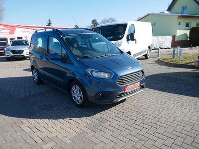 Gebraucht Ford Transit 101 PS (74 kW) 2020 Blau Van / Kleinbus