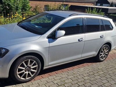 gebraucht VW Golf VII Golf Variant1.6 TDI BlueMotion Technology Cup