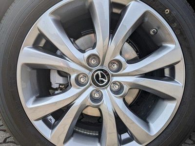 Grün Neu 2025 Mazda CX-30 Center-Line SUV | 26.380 €