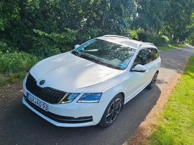 Gebraucht Skoda Octavia G-TEC 110 PS (80 kW) 2018 Weiß Kombi