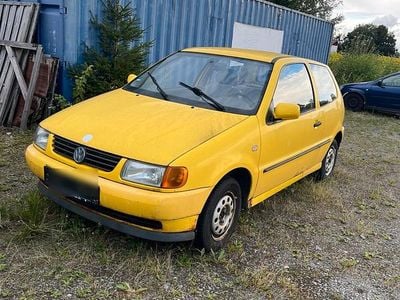 VW Polo