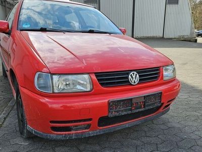 VW Polo