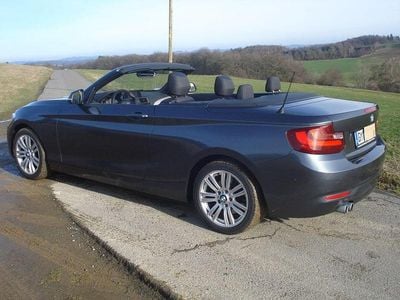 Gebraucht BMW 220 Advantage 190 PS (139 kW) 2015 Grau Cabrio