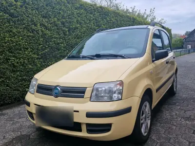 Używany Fiat Panda 60 KM (44 kW) 2005 Żółty Hatchback