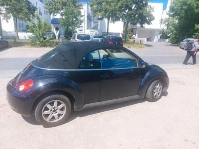 VW Beetle