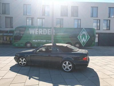 Mercedes CLK230