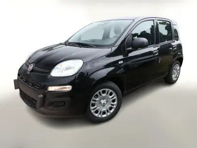 Neu Fiat Panda Icon 65 PS (47 kW) 2026 Cinema schwarz Kleinwagen