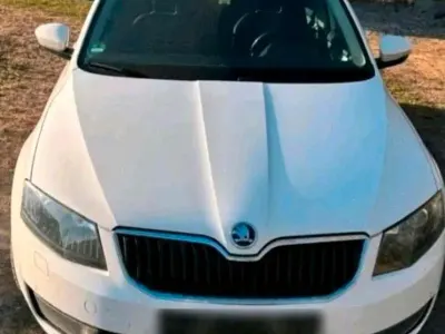 Gebraucht Skoda Octavia 150 PS (110 kW) 2014 Weiß Kombi