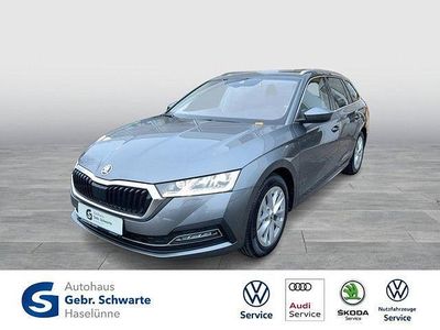 Grau Gebraucht 2025 Skoda Octavia Selection Kombi | 31.230 € (Fairer Preis)
