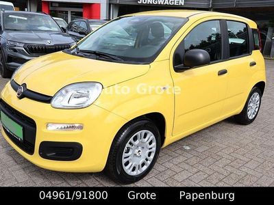 Neu Fiat Panda 69 PS (50 kW) 2025 Gelb Kleinwagen