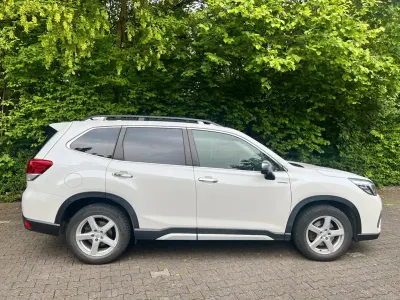 Gebraucht Subaru Forester