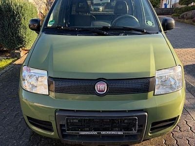 Gebraucht Fiat Panda 4x4 60 PS (44 kW) 2010 Grün Kleinwagen