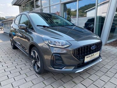 Gebraucht Ford Fiesta Active X 125 PS (91 kW) 2023 Grau Kleinwagen