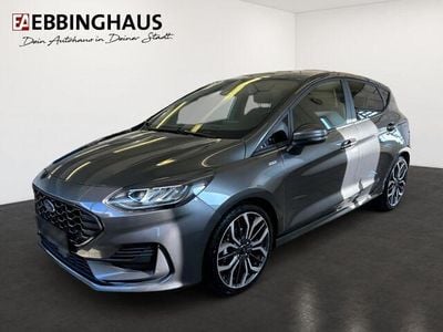 Używany Ford Fiesta ST-Line X 125 KM (91 kW) 2023 Szary Hatchback