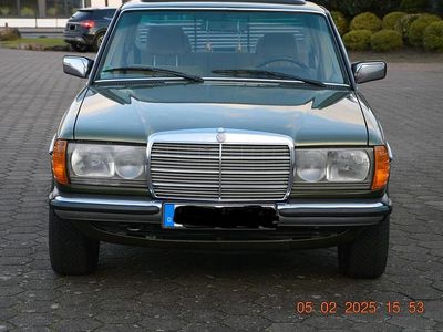 Grün Gebraucht 1983 Mercedes E230 Limousine | 19.000 €